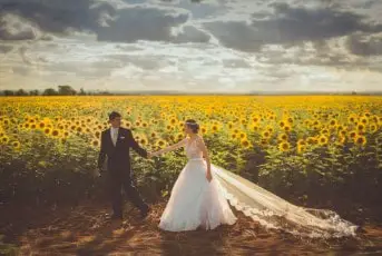sunflower wedding meaning