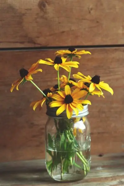 Swamp Sunflower in a vase (post)