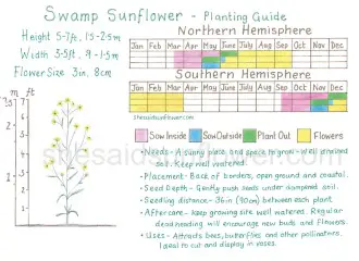 swamp sunflower copyright version - (Featured)