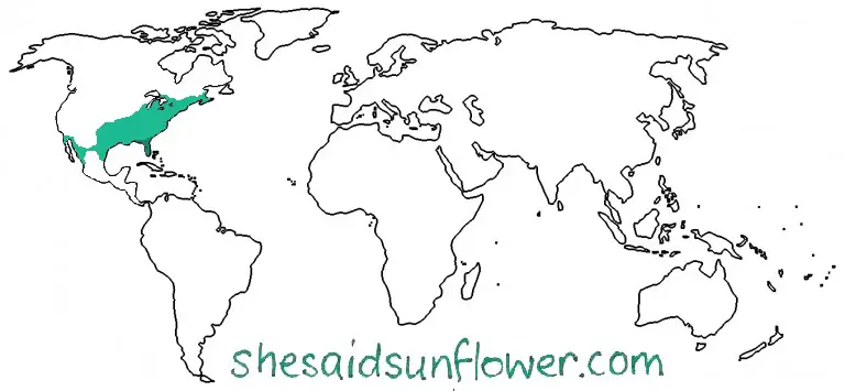 swamp sunflower location map